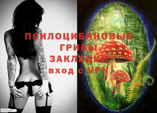 МДМА Новодвинск