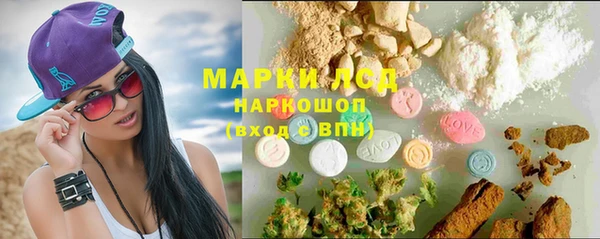 PSILOCYBIN Кемь