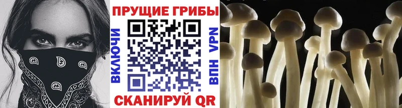 KRAKEN как войти купить наркотик Красновишерск Галлюциногенные грибы мицелий